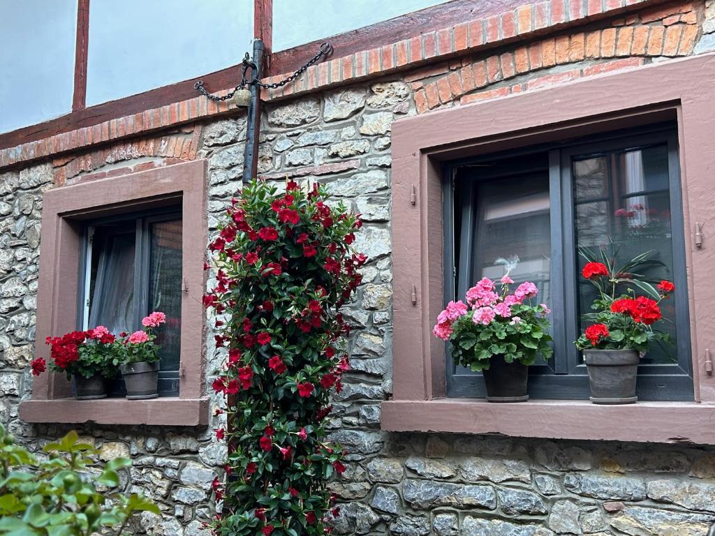 Zahrada ubytování Hotel Goldener Taler Lörrach
