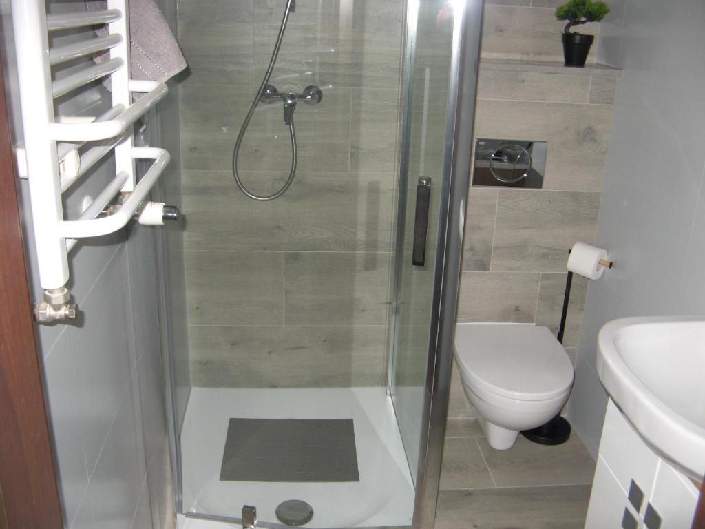 Apartamenty Willa Alicja - Habitación Doble Con Baño Privado