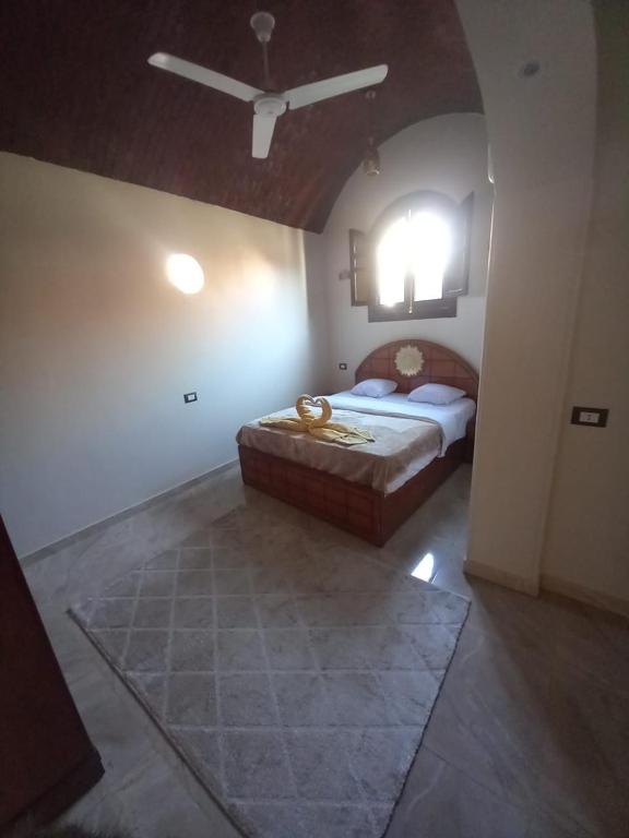 Nubian Soul Guest Houses - 19