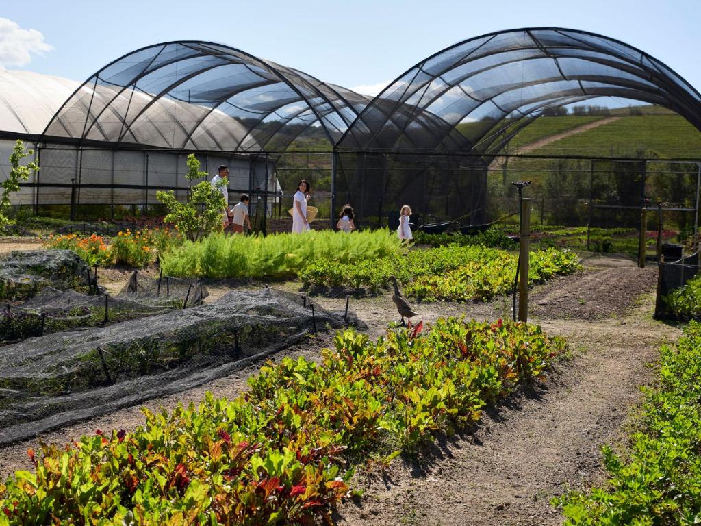 Een tuin van Spier Hotel and Wine Farm