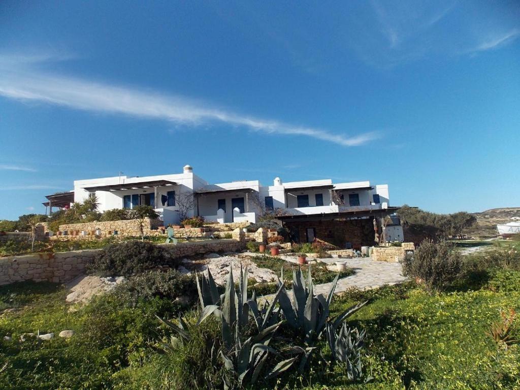 Alkionides Studios - 10