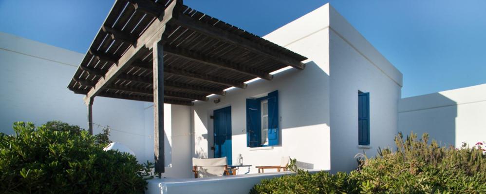 Alkionides Studios - 2