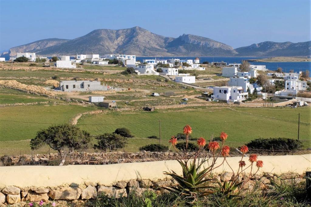 Alkionides Studios - 7