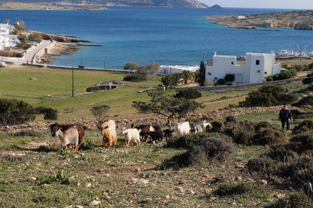 Alkionides Studios - 4