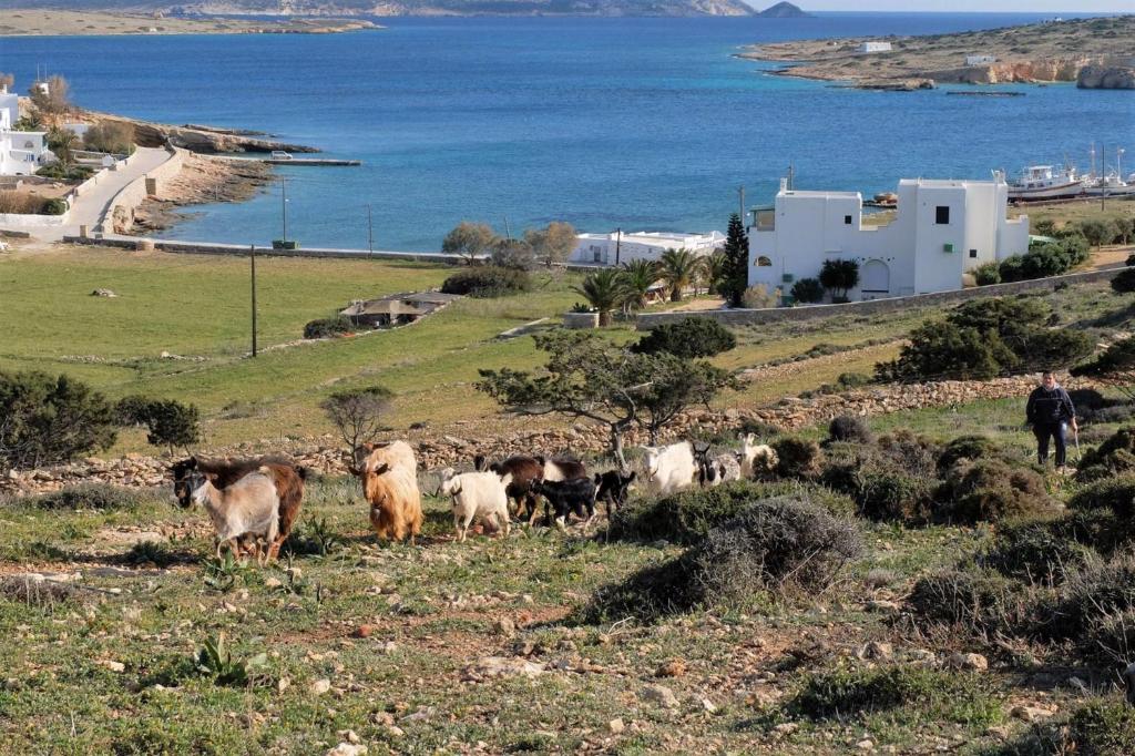 Alkionides Studios - 3