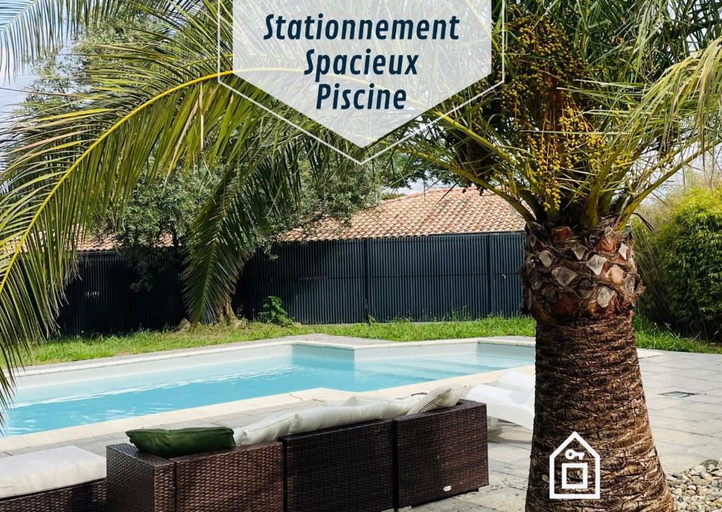 eine Palme neben einem Pool in der Unterkunft Villa Casalera - piscine, spacieuse & familiale in Dax