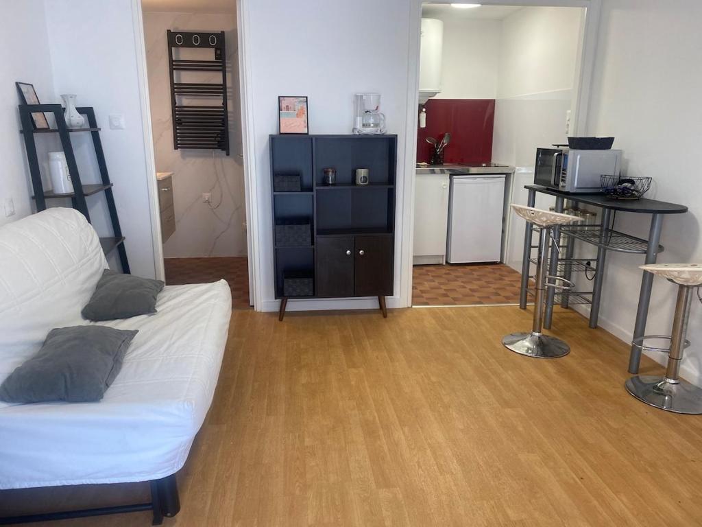 un salon avec un canapé blanc et une cuisine dans l'établissement Studio hypercentre, à Toulouse