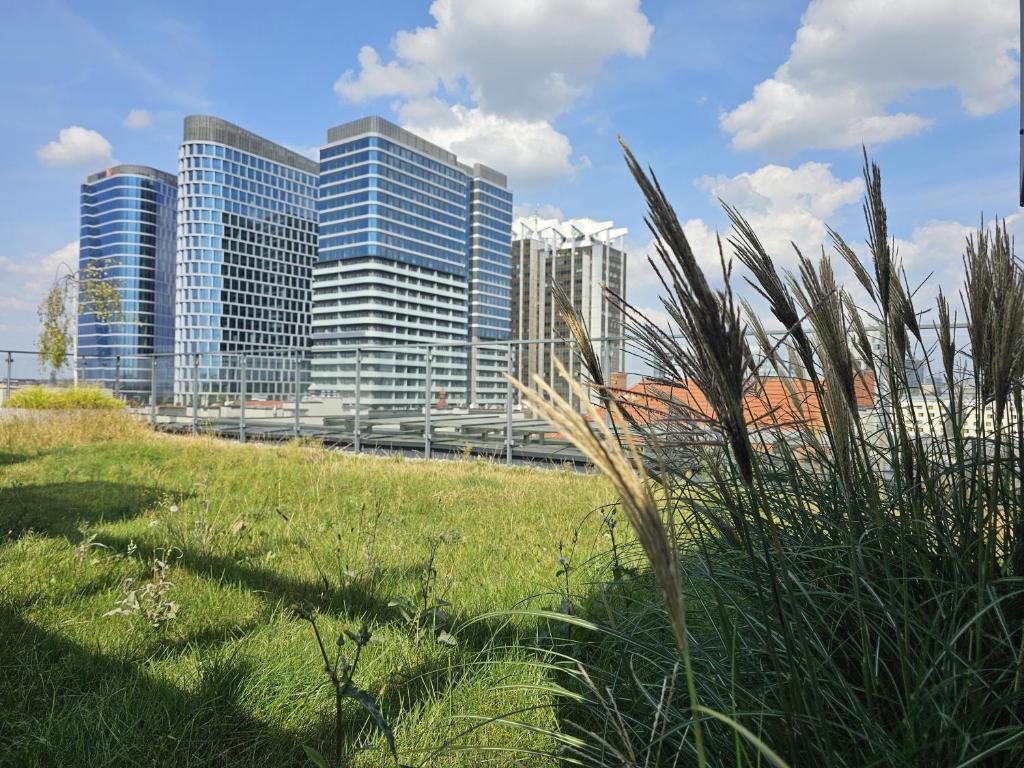 Budova, v ktorej sa apartmán nachádza