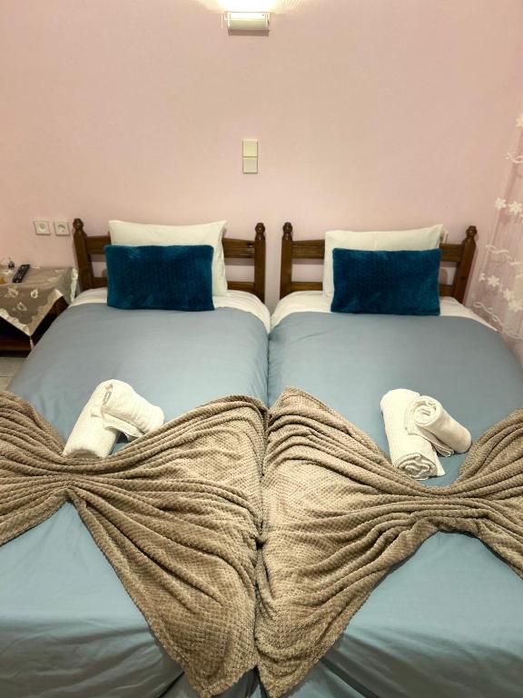 Karpouzis guesthouse - Budget Twin Room