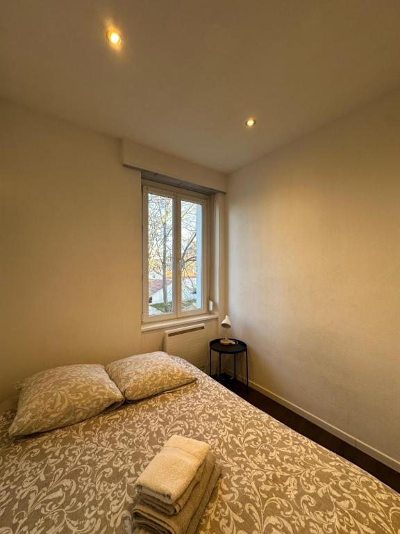 Le 11 - Joli F2 rénové, Mulhouse centre - stationnement gratuit – photo 7