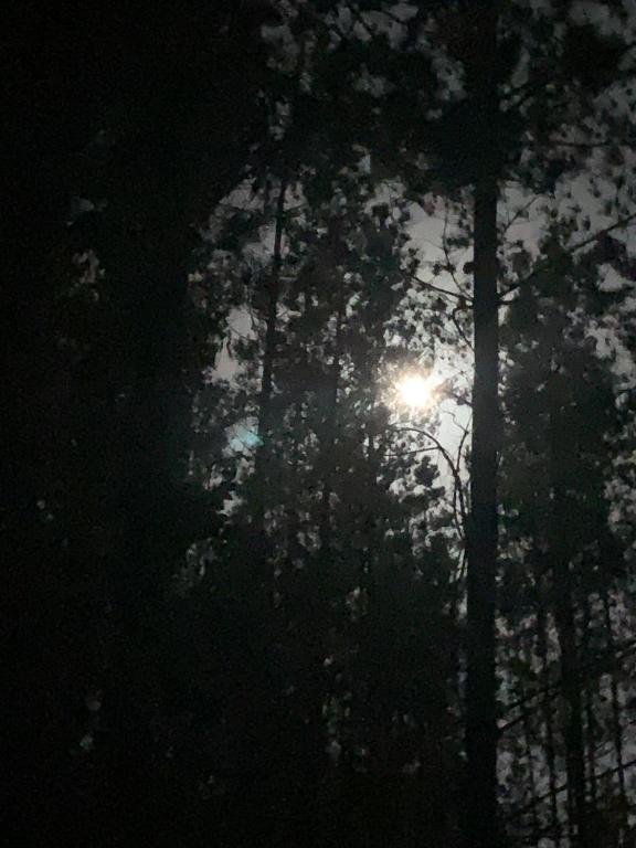 Fotografie z fotogalerie ubytování Cabaña en el Bosque v destinaci Isla Negra