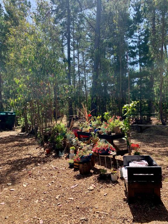 Zahrada ubytování Cabaña en el Bosque
