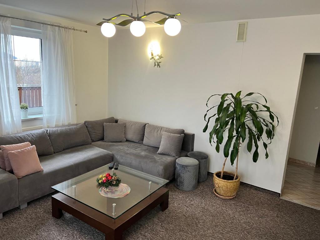 Rajski Zakątek - 15