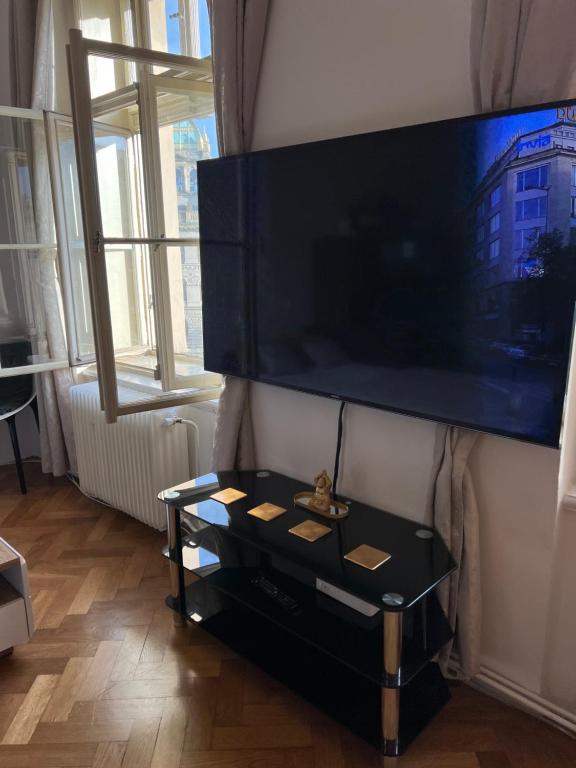 TV a/nebo společenská místnost v ubytování Wenceslas square apartment 150 m2