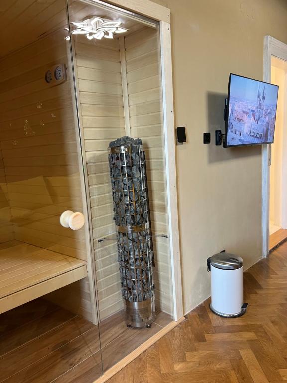TV a/nebo společenská místnost v ubytování Wenceslas square apartment 150 m2