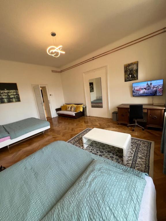 TV a/nebo společenská místnost v ubytování Wenceslas square apartment 150 m2