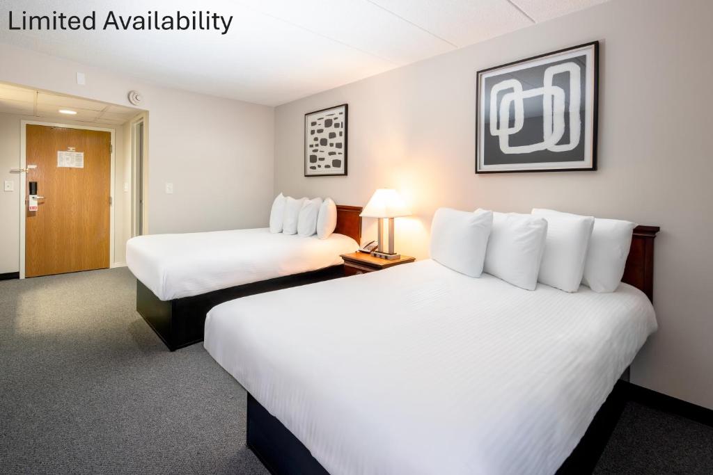 The View Inn & Suites Bethlehem / Allentown / Lehigh Airport - 双人间 - 带两张双人床 - 禁烟