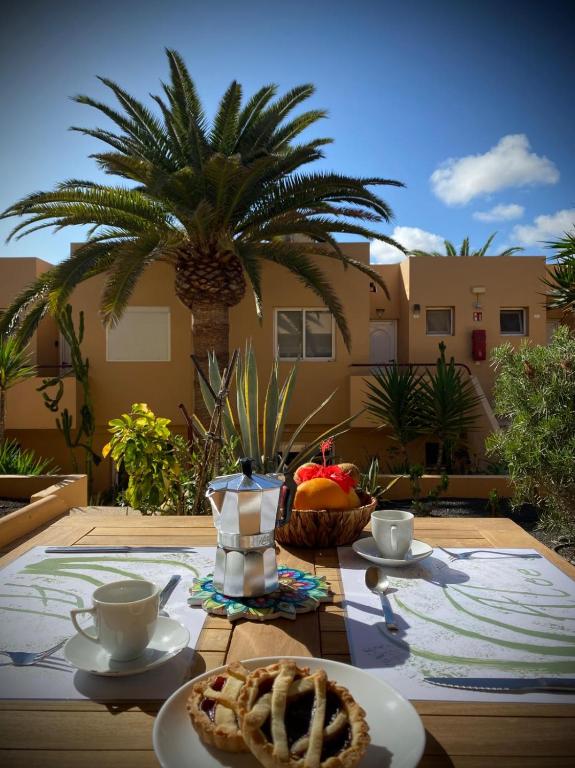 Aloe, Corralejo (updated prices 2026)
