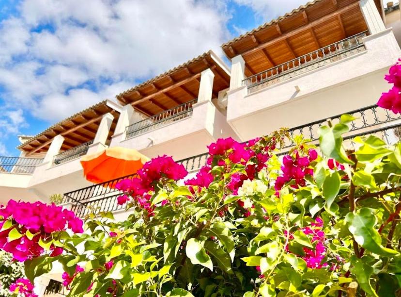 Balkón nebo terasa v ubytování Aphrodite Suites & Apartments with Swimming Pool