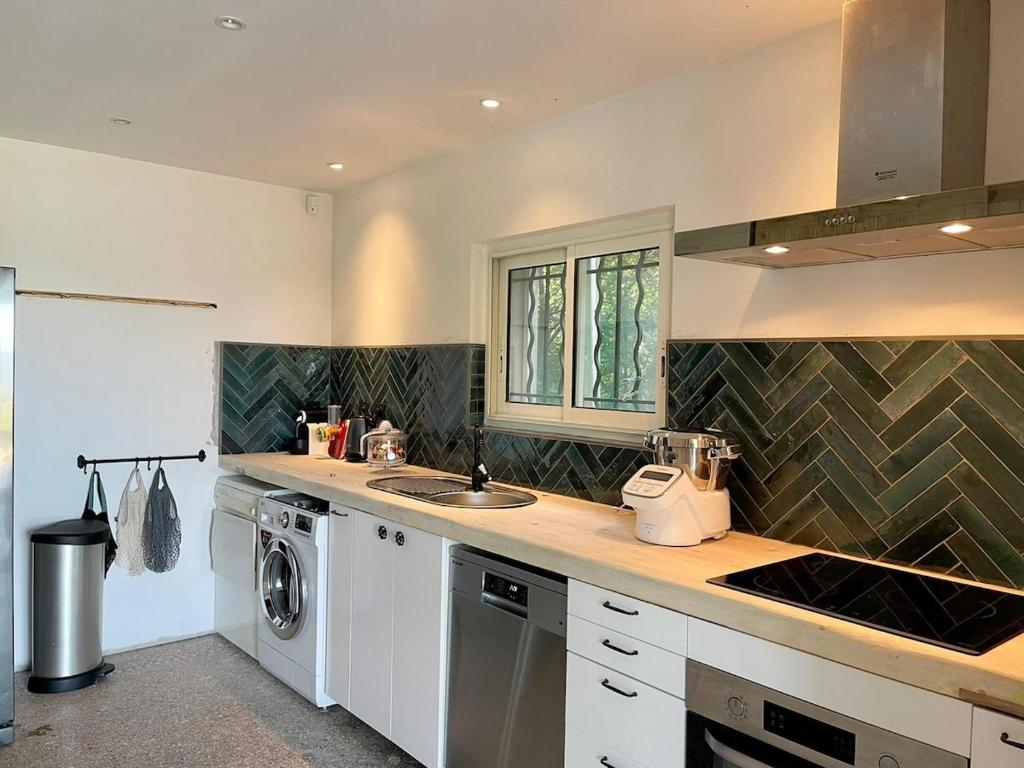 une cuisine avec un évier et une machine à laver dans l'établissement La marjolaine, à Aubagne