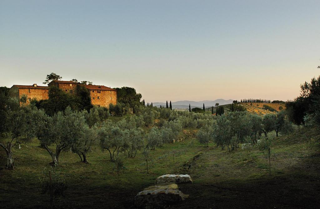 マッサ・マリッティマにあるAgriturismo Podere Acquarelloの高台の木々や建物のある畑