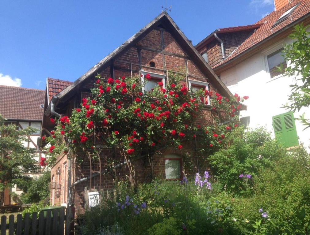 a house with red flowers on the side of it at Pretty half-timbered cottage on romantic yard in Fuldabrück