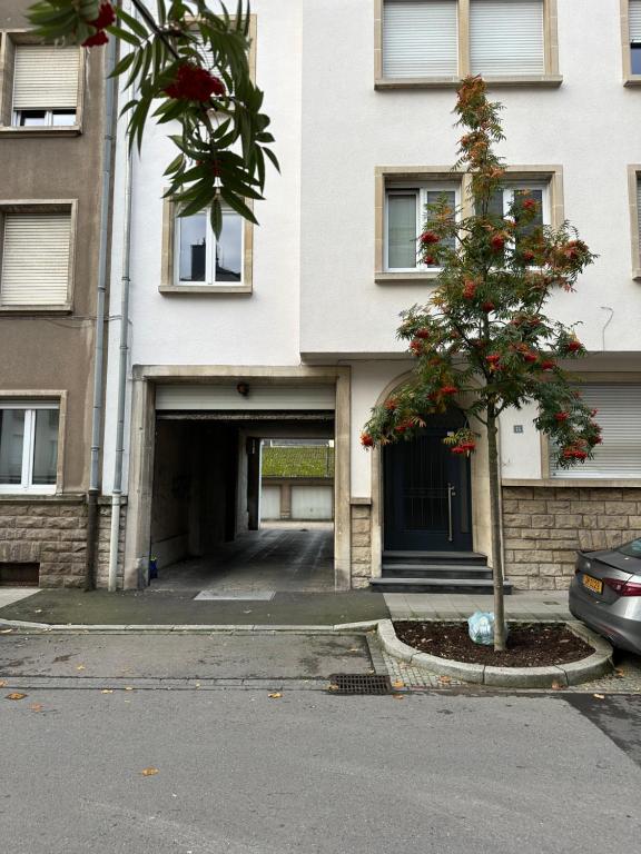 Studio Fischer à la Pétrusse 301 - Resim 43