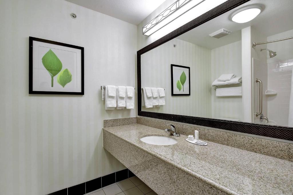 Fairfield Inn and Suites by Marriott San Antonio Boerne - Habitación Queen Con Dos Camas Queen