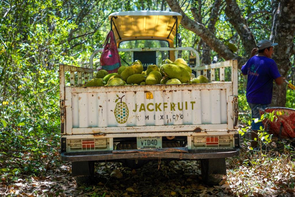Certifikát, hodnocení, plakát nebo jiný dokument vystavený v ubytování Dome @Jackfruit Jungle Paradise