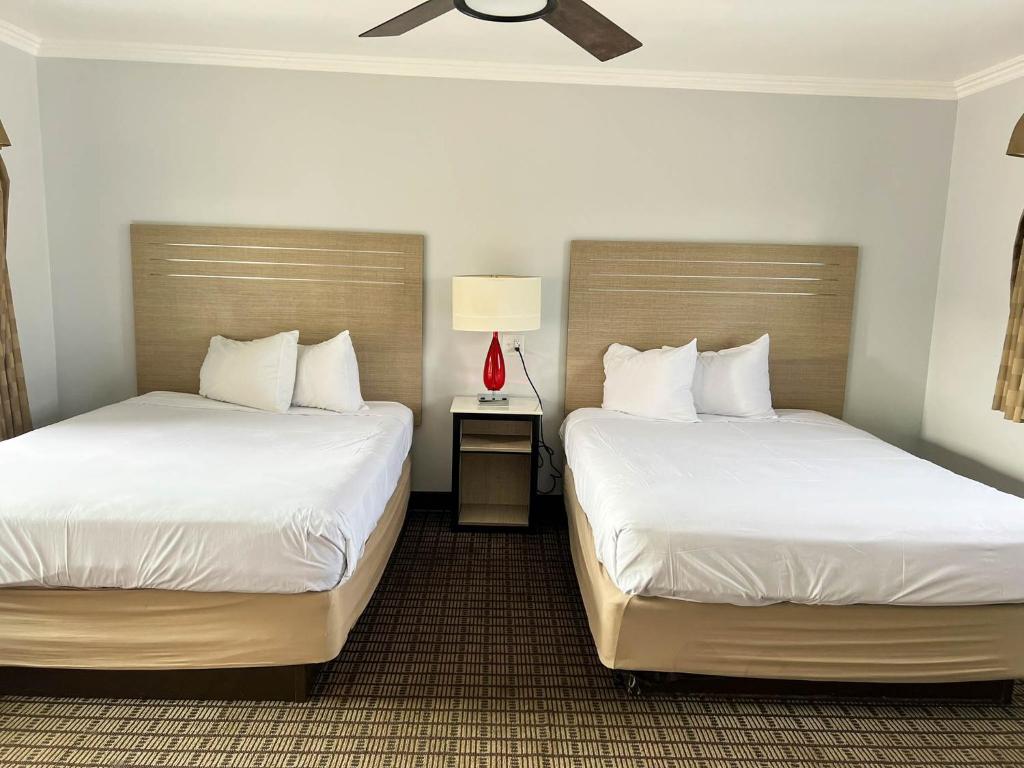 Viking Motel-Ventura - Salle Familiale Standard