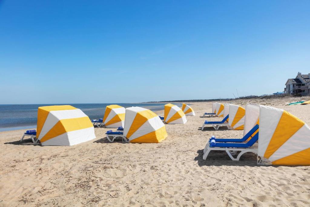 Delta Hotels by Marriott™ Virginia Beach Waterfront Suites photo