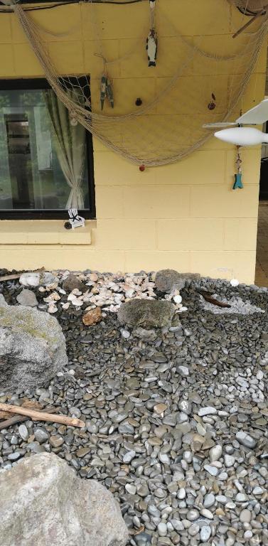 Guests suite close to Redwoods - Resim 19