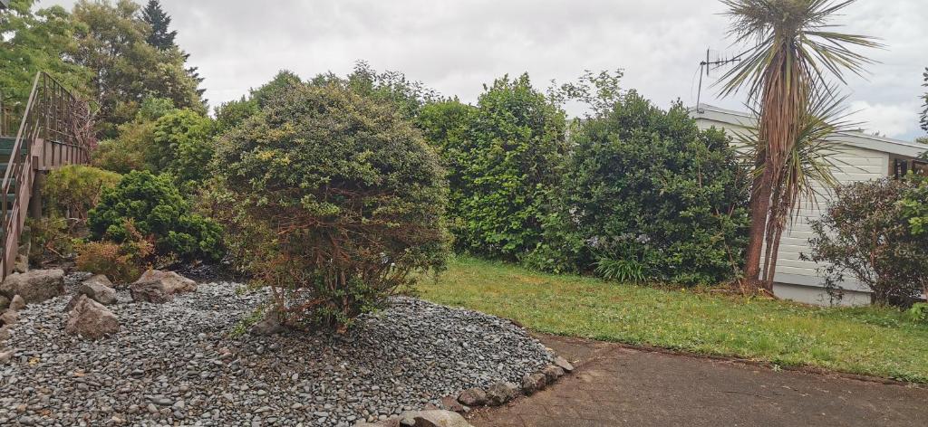 Guests suite close to Redwoods - Resim 24