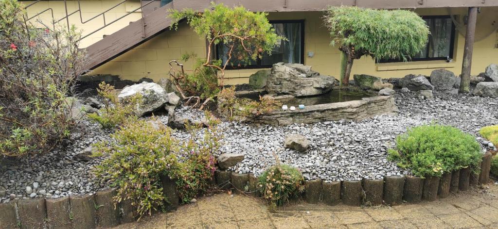 Guests suite close to Redwoods - Resim 26