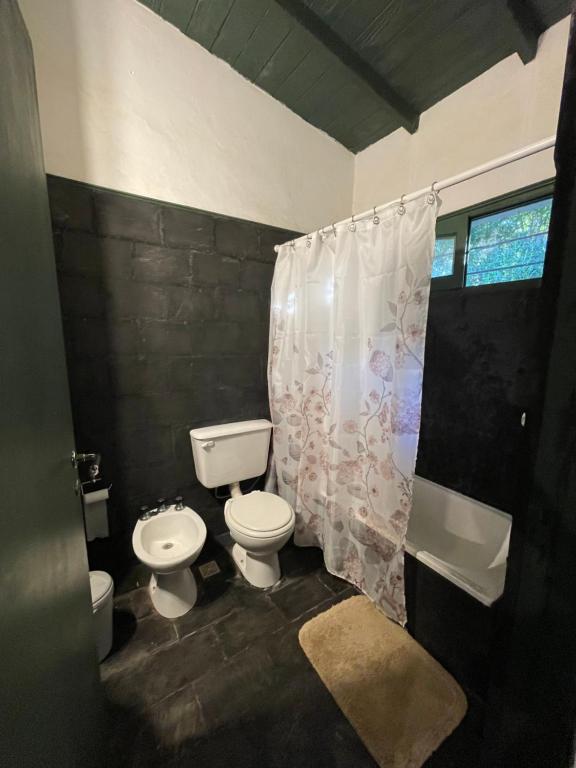 a bathroom with a toilet and a sink and a shower at Posada Las Camelias in Estancia La Totoro South