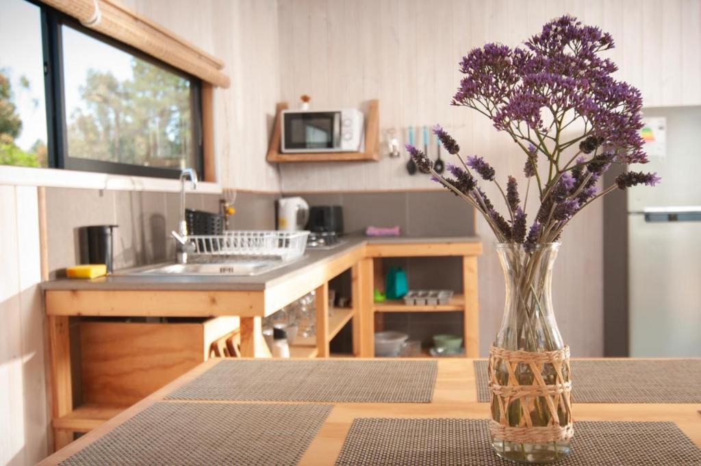 Köök või kööginurk majutusasutuses 7 Olas lodge