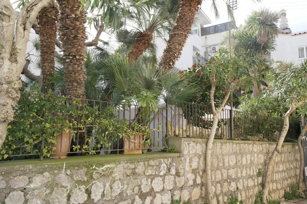 a fence with palm trees in front of a building at B&B La Melodia in Anacapri