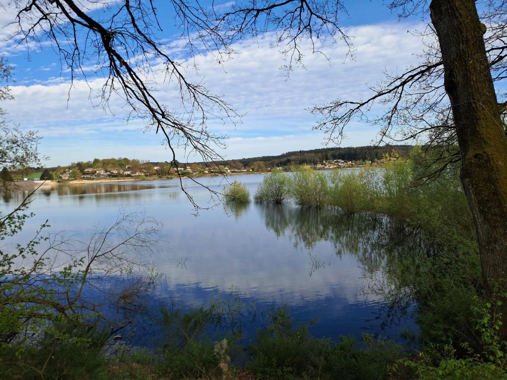 a view of a lake with trees and the water at Gîte spacieux près du lac avec spa, aire de jeux, wifi et activités variées - FR-1-589-767 in Chaumousey