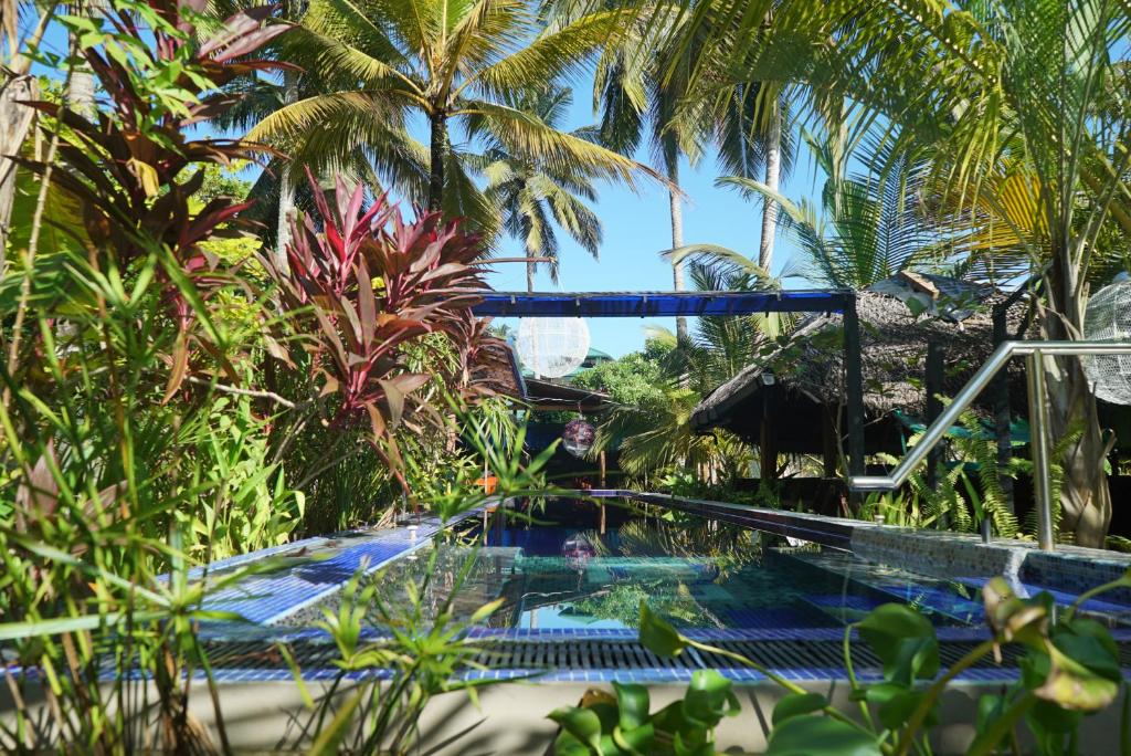 Piscina de la sau aproape de Red Coconut Villa