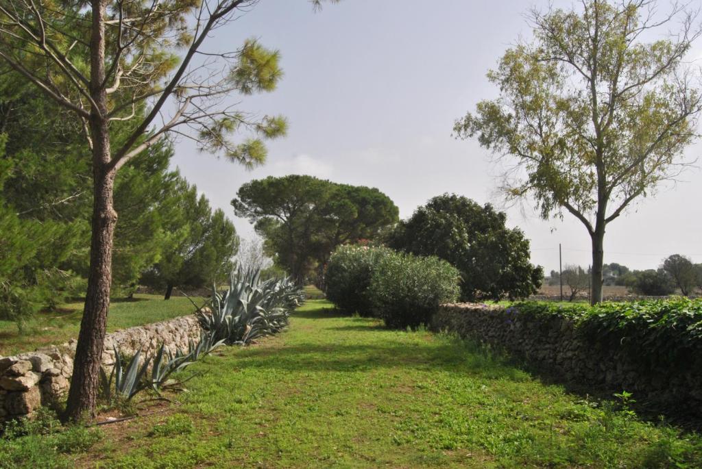 A garden outside Masseria Frassaniti