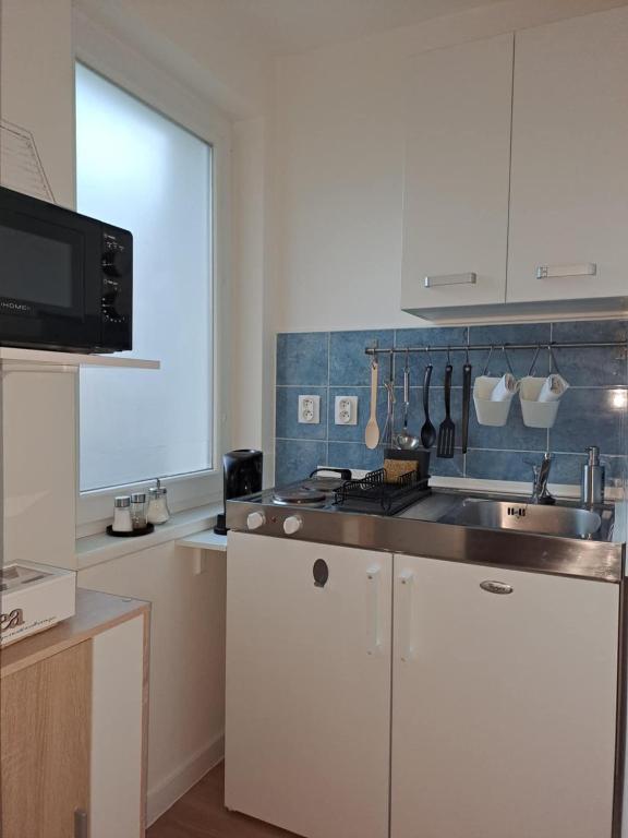 Kuchyň nebo kuchyňský kout v ubytování Apartmán Apaya