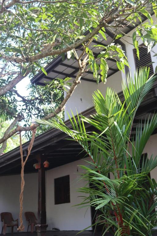 a house with trees and plants in front of it at VIHANSHA Guesthouse in Weligama