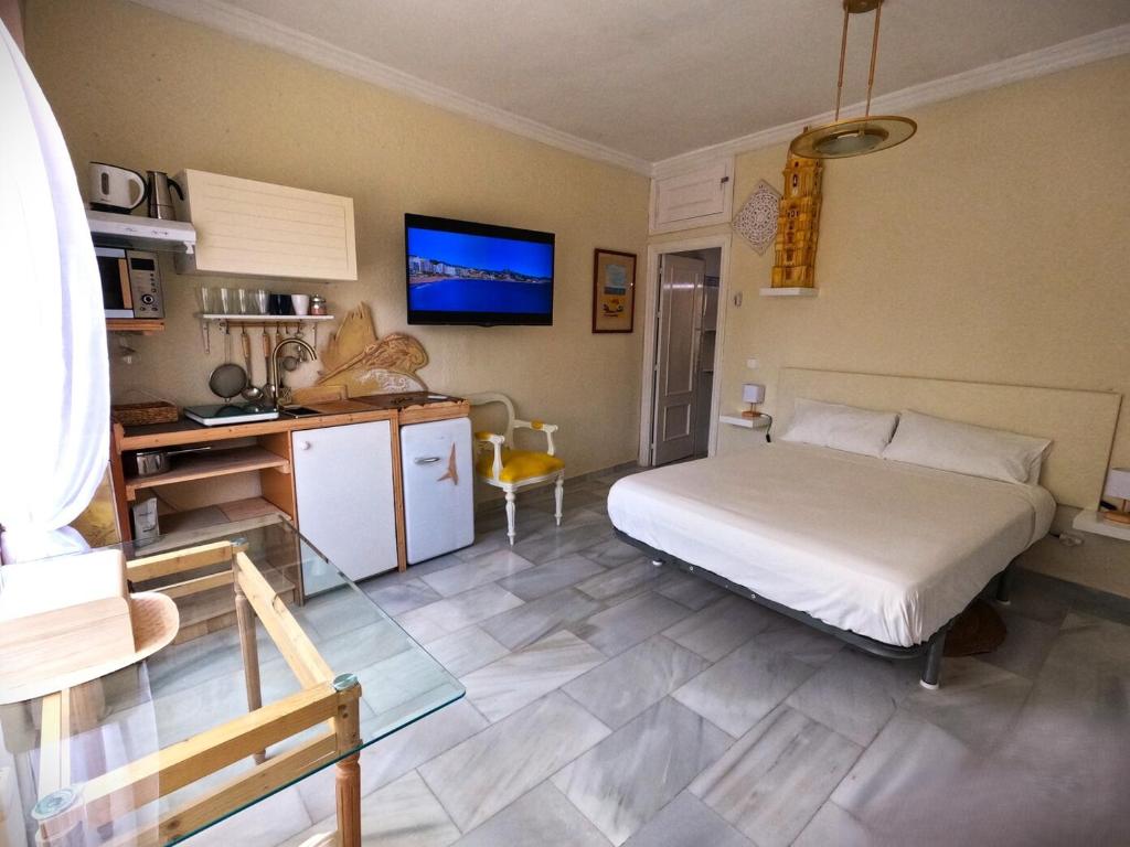 a bedroom with a bed and a desk and a tv at Gibralfaro Alojamiento Turístico cerca de la playa in Málaga
