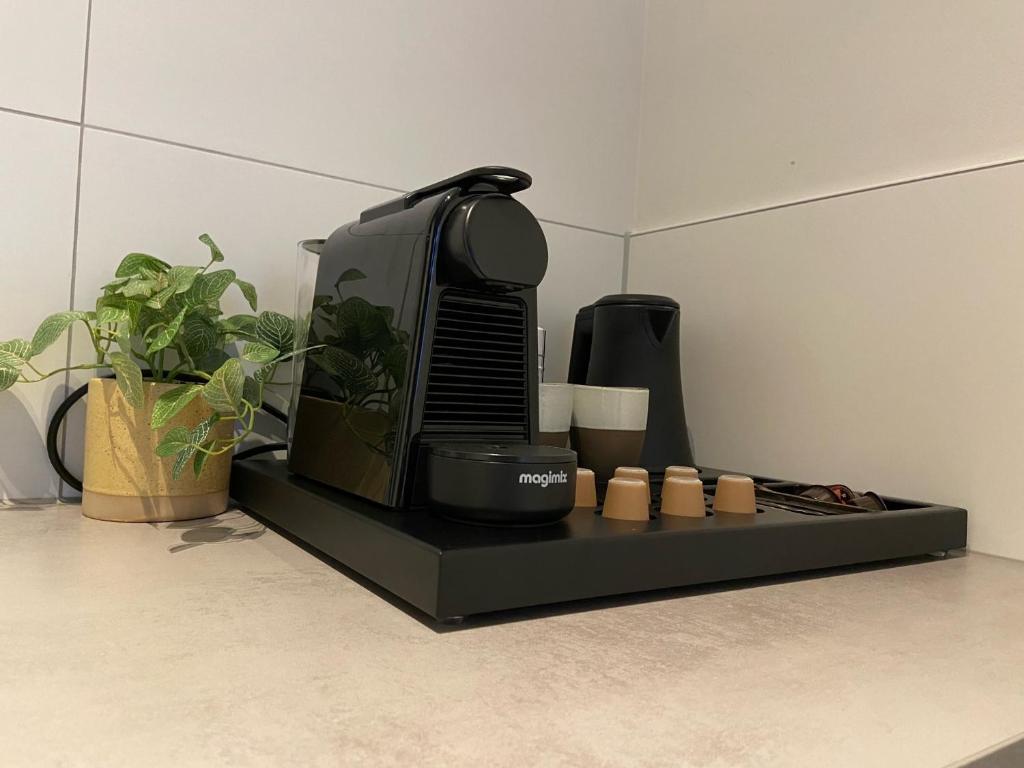 Alex Maastricht - Resim 7