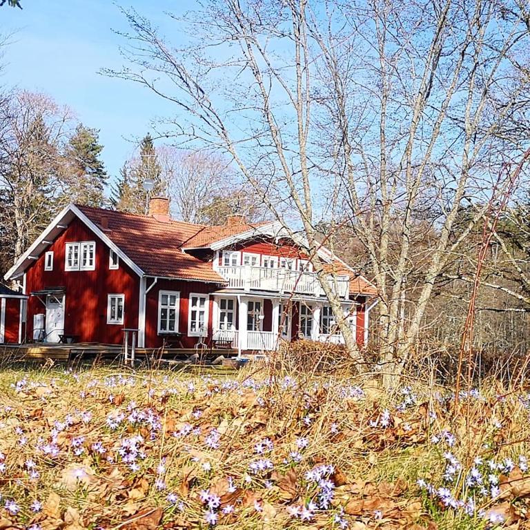 a red house in a field with purple flowers at Påryds Bed & Breakfast in Påryd