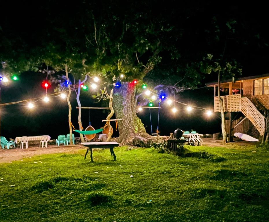 Zahrada ubytování Borbon's Treehouse By the Sea
