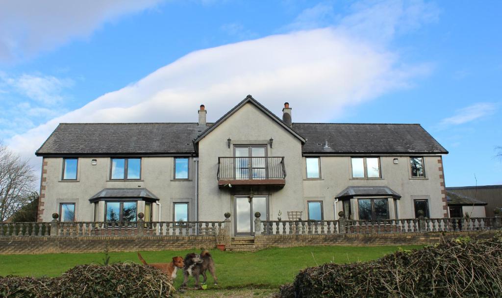 une maison avec deux chiens marchant devant elle dans l'établissement Shandon Farmhouse Bed and Breakfast, à Drymen