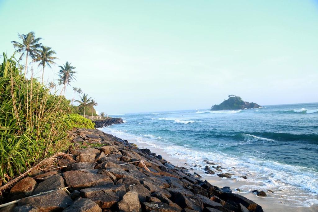 a rocky beach with palm trees and the ocean at Ocean View Guest House in Ahangama