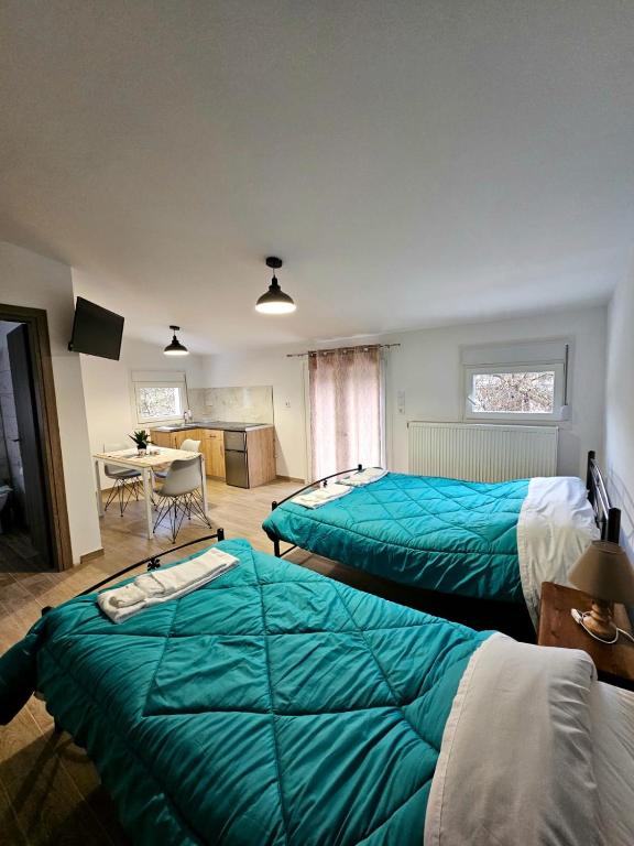 Postel nebo postele na pokoji v ubytování Studios Iris