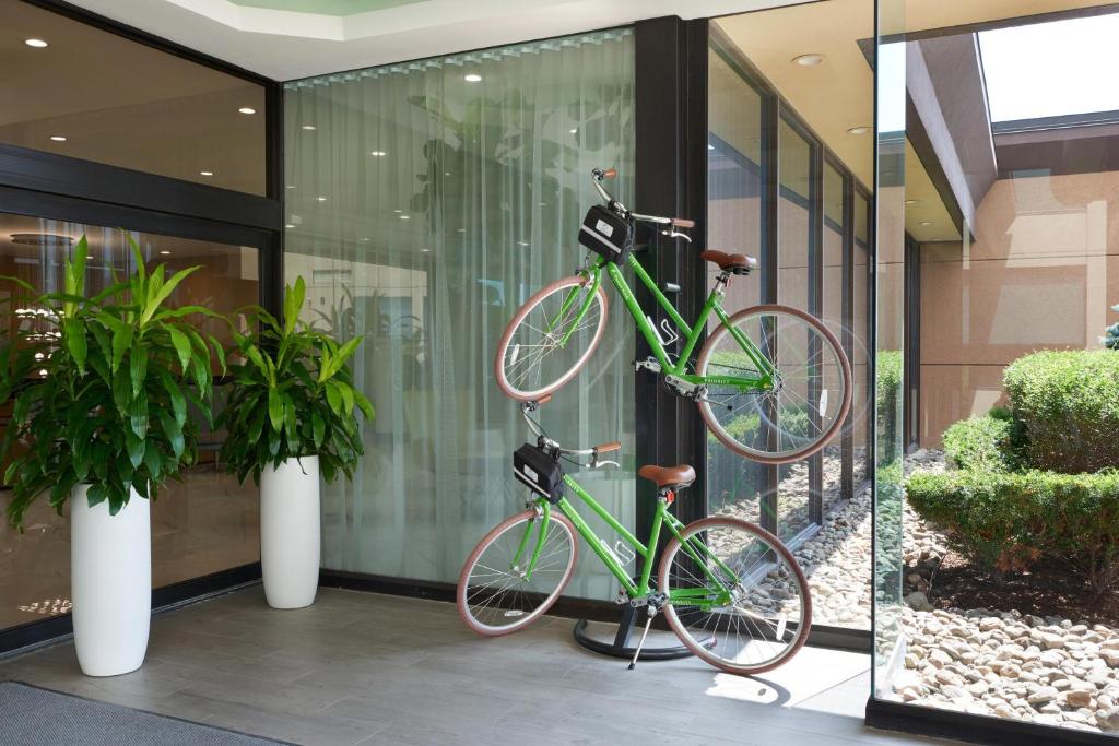 Element Toronto Airport - Resim 27